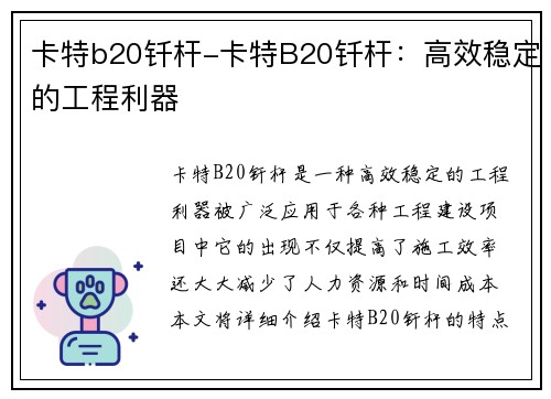 卡特b20钎杆-卡特B20钎杆：高效稳定的工程利器